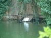 DSCF0110.JPG