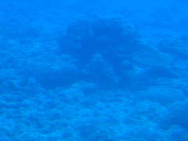 Clicca per immagine full size