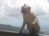 ViaggioNozze_0223.jpg